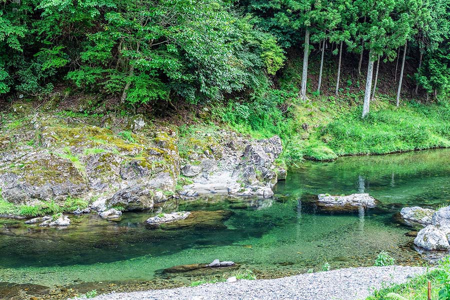 活動體驗